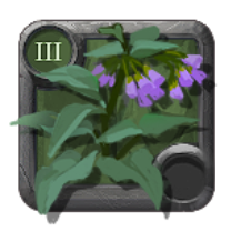 T3_COMFREY